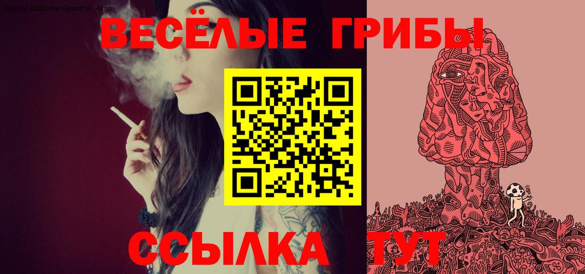 Псилоцибиновые грибы GOLDEN TEACHER  Галлюциногенные грибы прущие грибы  Ликино-Дулёво  Вход с VPN 